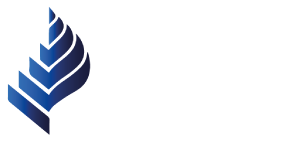 De Luca Consulting